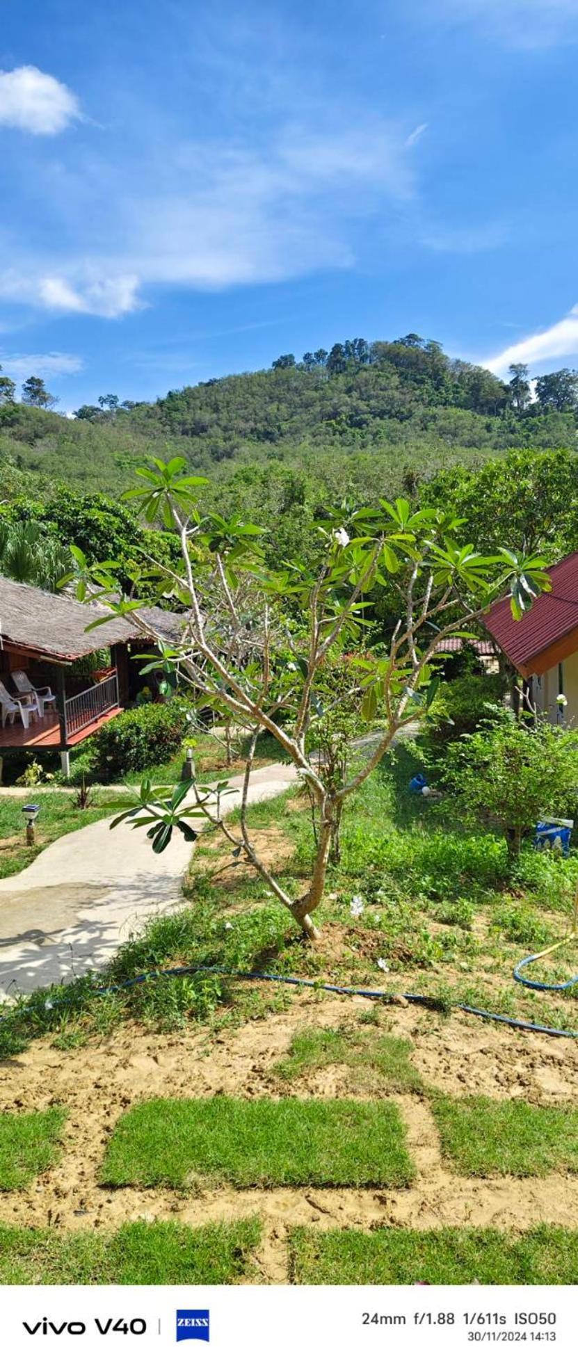 Mookies Bungalows Ko Mook Exterior foto